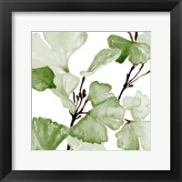 Mint Ginko Stems II Fine Art Print