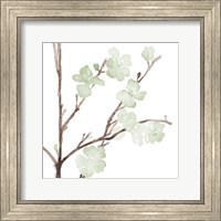 Mint Bloom Stems Fine Art Print