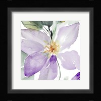 Clematis in Purple Shades I Fine Art Print