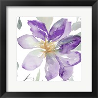 Clematis in Purple Shades II Fine Art Print