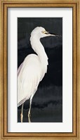 Heron on Black II Fine Art Print