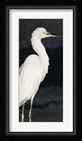 Heron on Black II Framed Print