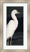 Heron on Black II Fine Art Print