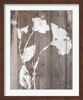 Brown Floral Whisper on Wood II Fine Art Print