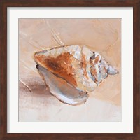 Copper Sea Shell Fine Art Print
