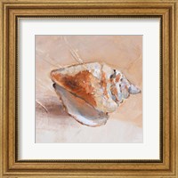 Copper Sea Shell Fine Art Print