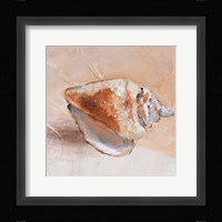 Copper Sea Shell Framed Print