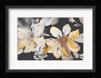 Yellow Clematis on Grey Fine Art Print
