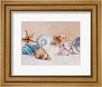 Shells on the Shore Rectangle Fine Art Print