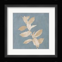 Tan Leaf on Blue Square I Framed Print