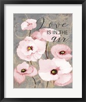 Kindle's Blush Poppies I Fine Art Print