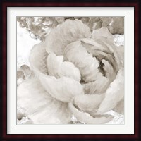 Light Grey Flowers II Fine Art Print