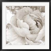 Light Grey Flowers II Fine Art Print