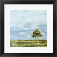 Summer Oak Fine Art Print