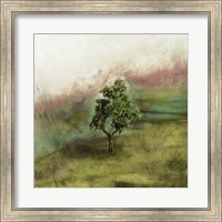 Lone Oak Fine Art Print