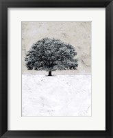 Old Black Tree Fine Art Print