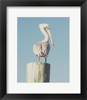Pelican Post Muted I Fine Art Print
