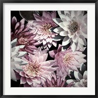 Plum Florals Fine Art Print