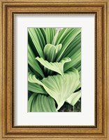 Green Leaf Blooms I Fine Art Print