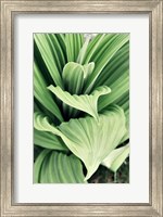 Green Leaf Blooms I Fine Art Print
