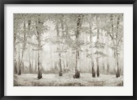 Misty Woodland Glow Fine Art Print