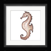 Coastal Icon Coral I Framed Print