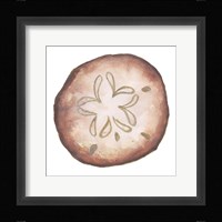 Coastal Icon Coral II Framed Print