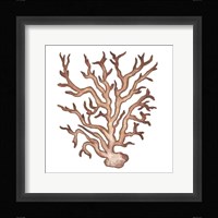 Coastal Icon Coral III Framed Print
