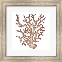 Coastal Icon Coral III Fine Art Print