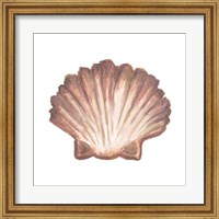Coastal Icon Coral VI Fine Art Print