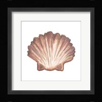 Coastal Icon Coral VI Framed Print