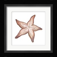 Coastal Icon Coral VII Framed Print