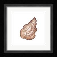 Coastal Icon Coral IX Framed Print