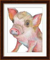 Pig II Fine Art Print