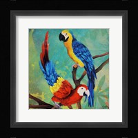 Tropical Birds in Love II Framed Print