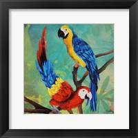 Tropical Birds in Love II Framed Print
