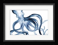 Octopus in the Blues Framed Print