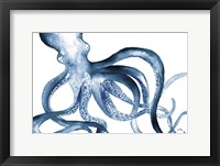 Octopus in the Blues Framed Print