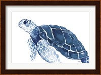 Turtle in the Blues Fine Art Print