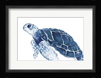Turtle in the Blues Framed Print