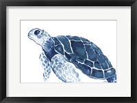 Turtle in the Blues Framed Print
