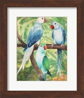 Tropical Birds I Fine Art Print