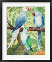 Tropical Birds I Fine Art Print