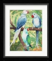 Tropical Birds I Framed Print