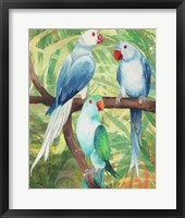 Tropical Birds I Framed Print