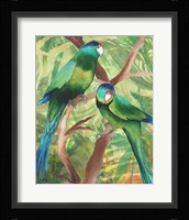 Tropical Birds II Framed Print