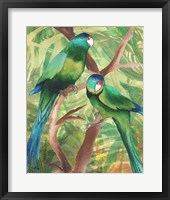 Tropical Birds II Framed Print