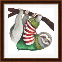 Christmas Sloth II Fine Art Print