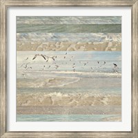Flying Beach Birds I Fine Art Print
