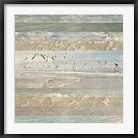 Flying Beach Birds I Fine Art Print